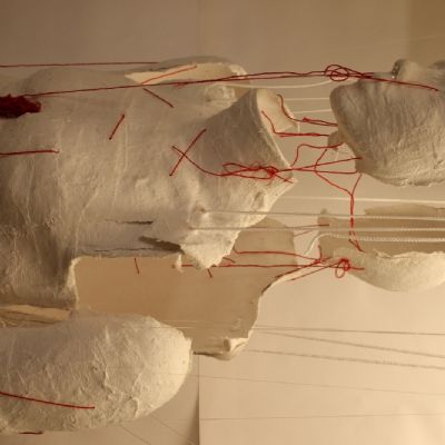 Tom P A2 Plaster and wool installation